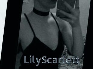 Lily_Scarlett