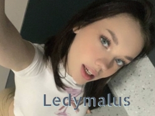 Ledymalus