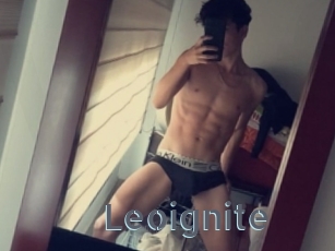 Leoignite