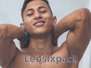 Leosixpack
