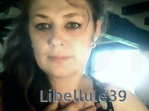 Libellule39