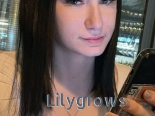 Lilygrows