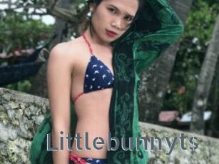 Littlebunnyts
