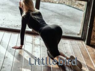 Littllebird