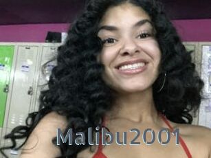 Malibu2001
