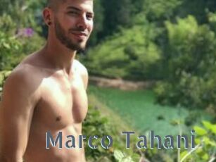 Marco_Tahani