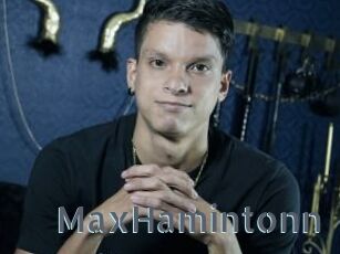 MaxHamintonn