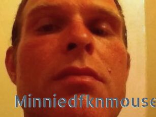Minniedfknmouse
