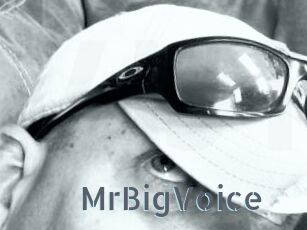 MrBigVoice