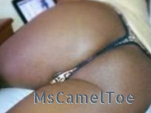 MsCamelToe