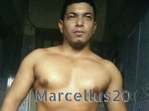 Marcellus20