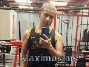 Maximosims