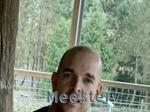 Meesterv