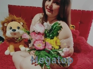Megatop