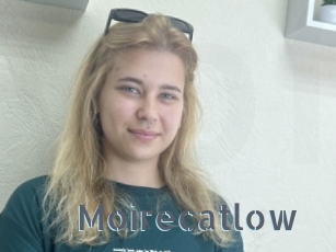 Moirecatlow
