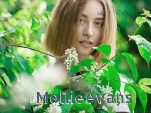 Mollieevans
