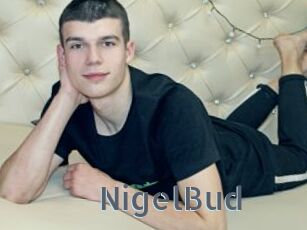 NigelBud