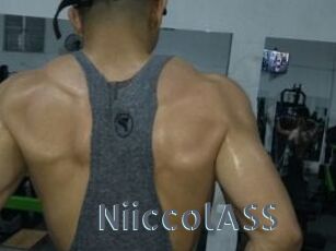 NiiccolASS