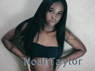 NoahTaylor