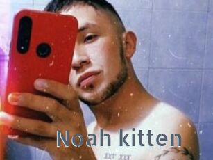 Noah_kitten