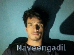 Naveengadil