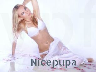 Nicepupa
