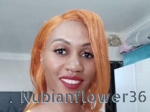 nubianflower36 Vidéos Porno FR