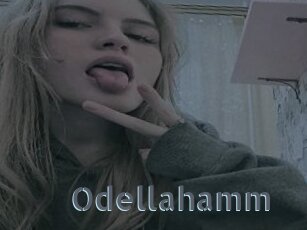 Odellahamm