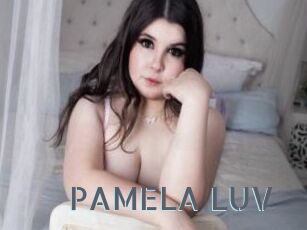 PAMELA_LUV