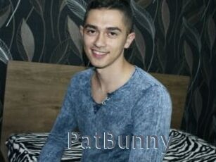 PatBunny