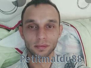 Petitmaldu88 Vidéos Porno FR