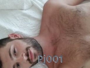 Pj001