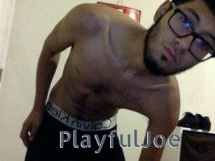 PlayfulJoe