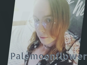 Palemoonflower