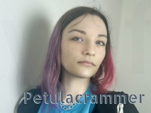 Petulacrammer