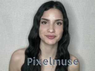 Pixelmuse