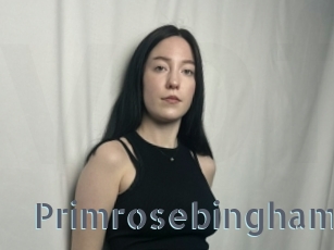 Primrosebingham