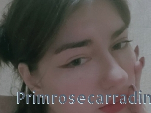 Primrosecarradin