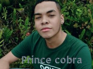 Prince_cobra