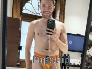 Pupstud
