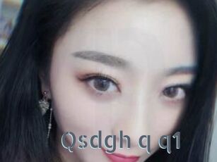 Qsdgh_q_q1