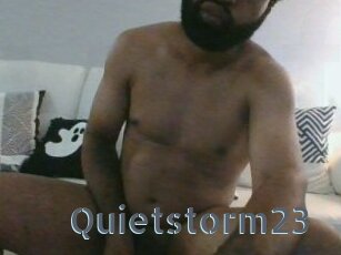 Quietstorm23