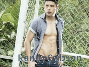 RandyGybson