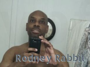 Rodney_Rabbit