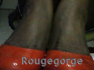 Rougegorge