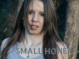 SMALL_HONEY