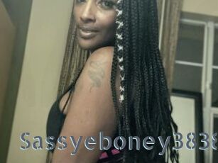 Sassyeboney3838