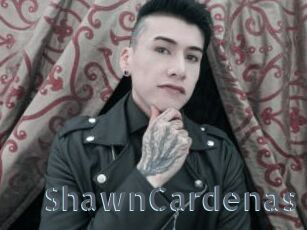ShawnCardenas
