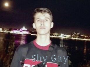 Shy_Gay
