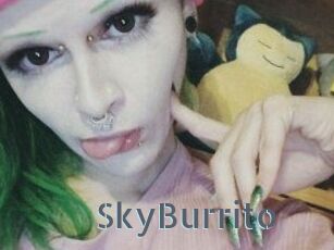 SkyBurrito